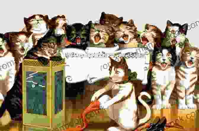 A Choir Of Cats Singing In Harmony The Cat Did WHAT?: 75 OF The Funniest Cutest Most Amazing Cat Videos On The Internet