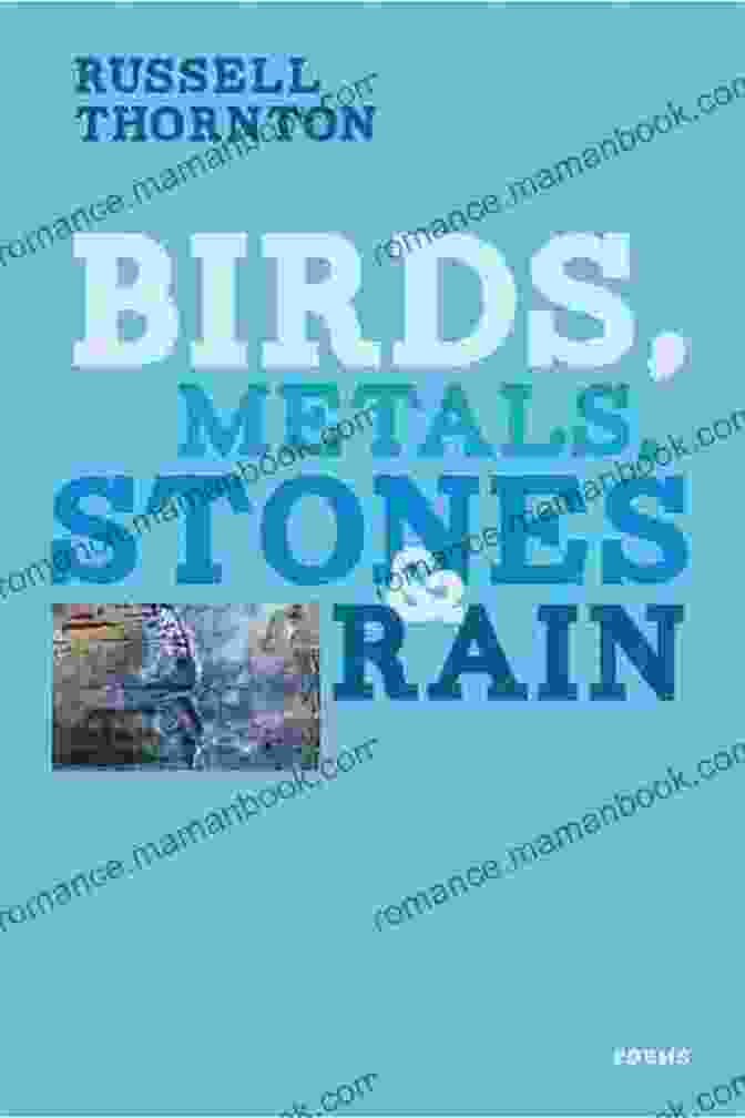 A Rainstorm Birds Metals Stones And Rain