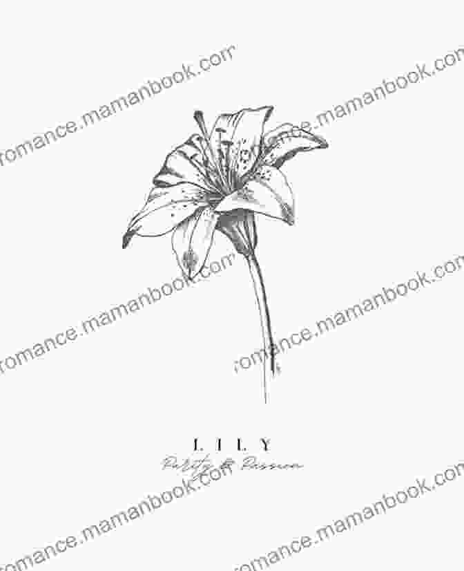 A White Lily Floriography: An Illustrated Guide To The Victorian Language Of Flowers