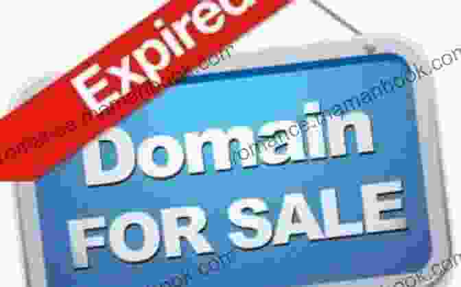 Image Of A Diagram Showing Different Ways To Monetize An Expired Domain Making Money From Buying Expired Domains : How Do You Find Expiring Domains How Do I Sell It? Most Successful Domain Niches And More