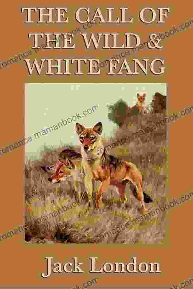 Jack London Collection Featuring The Call Of The Wild, White Fang, The Sea Wolf, And To Build A Fire Jack London Collection (Call Of The Wild White Fang The Sea Wolf To Build A Fire Martin Eden Lost Face The Iron Heel And Other Works)