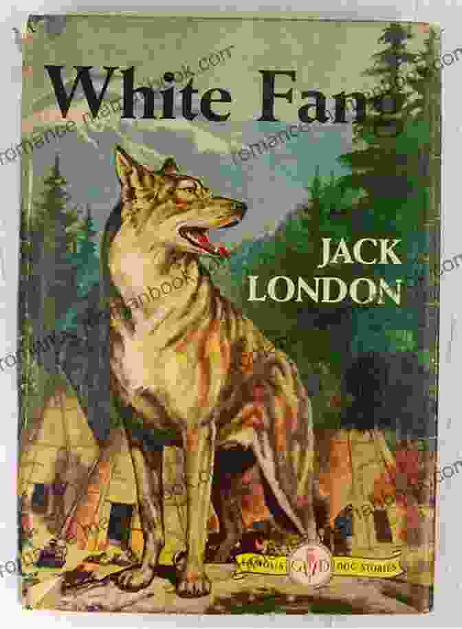 White Fang By Jack London Jack London Collection (Call Of The Wild White Fang The Sea Wolf To Build A Fire Martin Eden Lost Face The Iron Heel And Other Works)