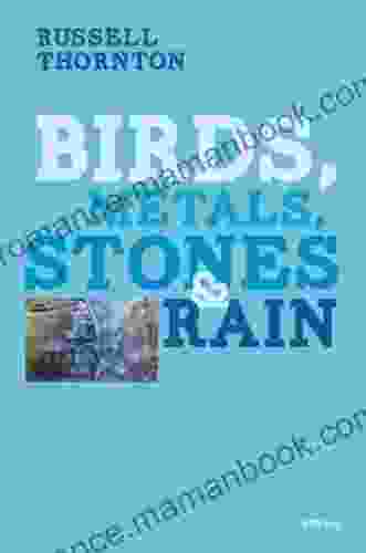 Birds Metals Stones And Rain