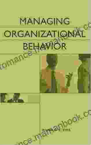 Managing Organizational Behavior Ronald R Sims