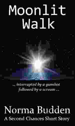 Moonlit Walk (A Second Chances Short Story 3)